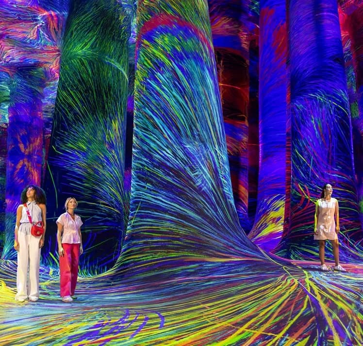 teamLab Phenomena Abu Dhabi near Sei Saadiyat on Saadiyat Island